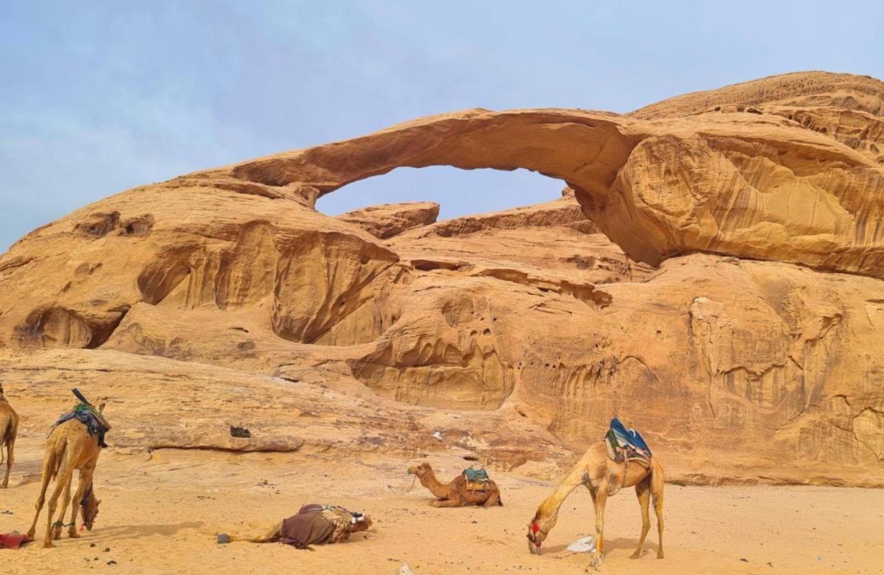 Mojo Camp, Wadi Rum Exterior foto