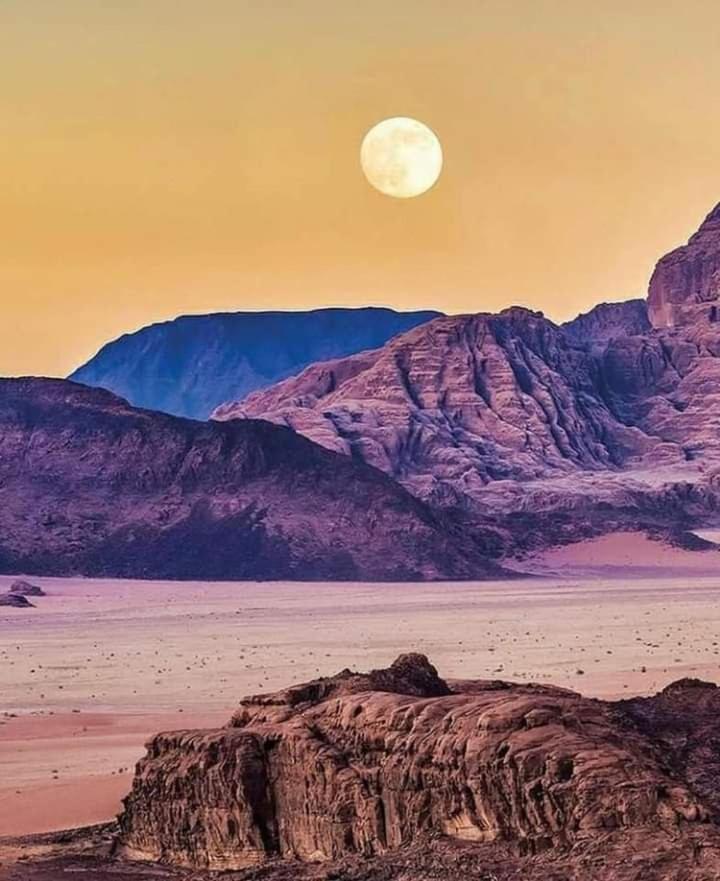 Mojo Camp, Wadi Rum Exterior foto