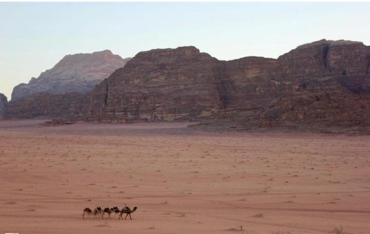 Mojo Camp, Wadi Rum Exterior foto