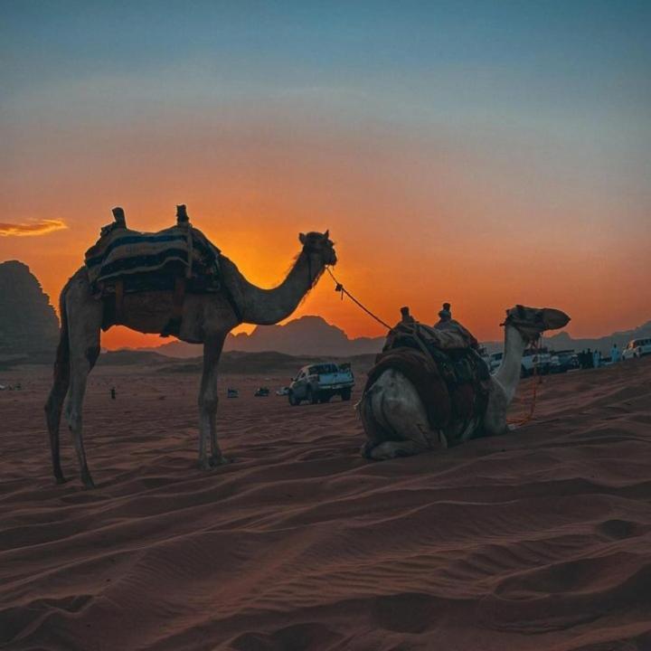 Mojo Camp, Wadi Rum Exterior foto
